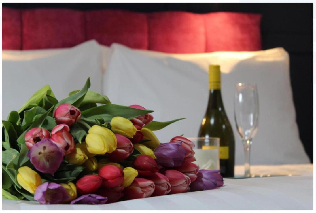 The Dutch Tulip Hotel Mallow Ngoại thất bức ảnh